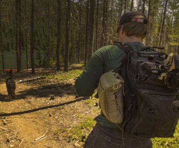 Falconer backpack