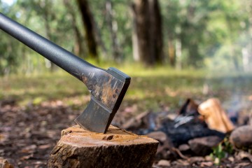 axe on stump