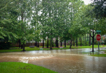 Post-Disaster Prepping Lessons from Hurricane Harvey