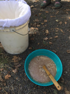 LEaching acorns using a bucket and a mesh bag